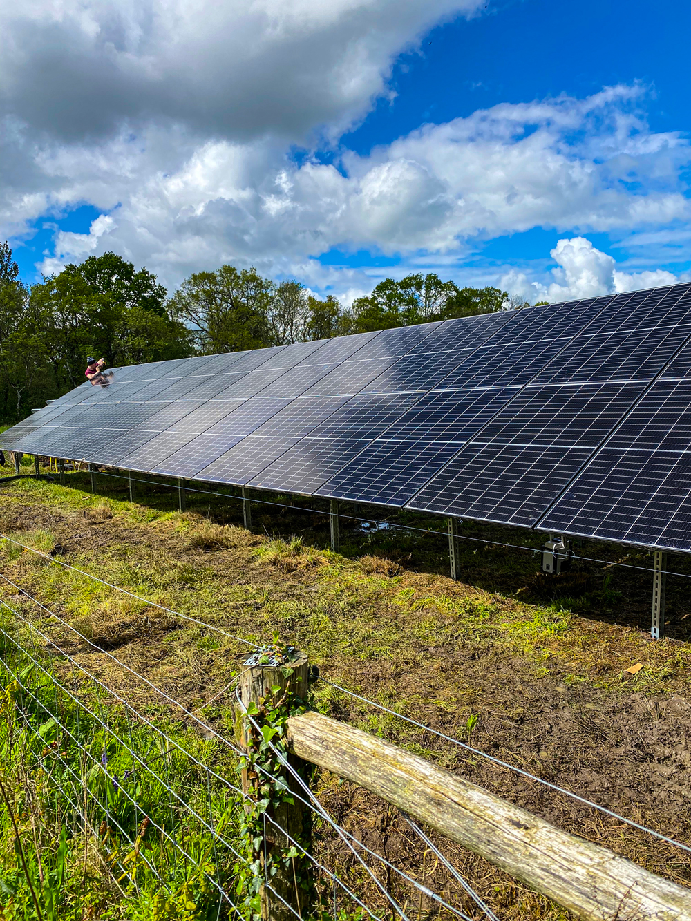 Array of commercial solar PV panels ground mounted in field generating renewable energy